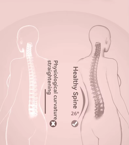 Adjustable Lumbar Stretcher Home Use Yoga Back Extension Aid Massage Nodes Therapeutic Spine Alignment Muscle Relaxation Tool